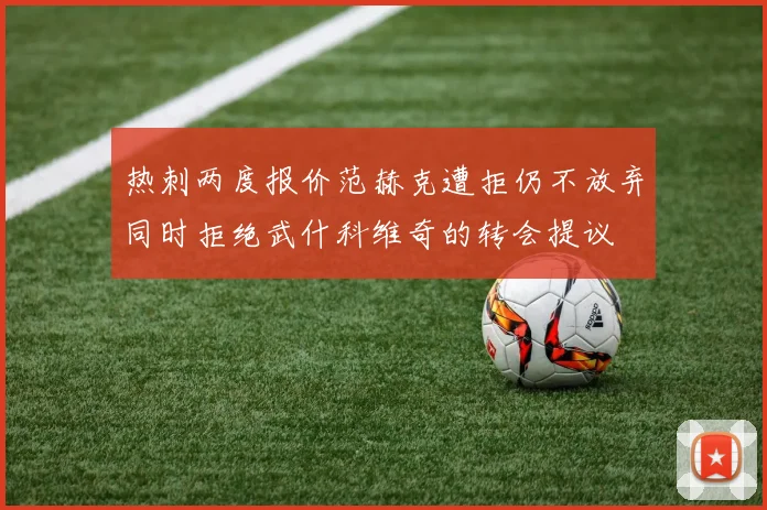 热刺两度报价范赫克遭拒仍不放弃同时拒绝武什科维奇的转会提议